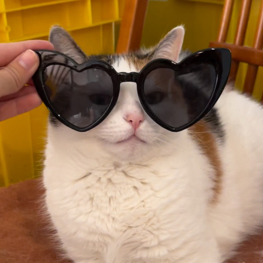 Heart Sunglasses